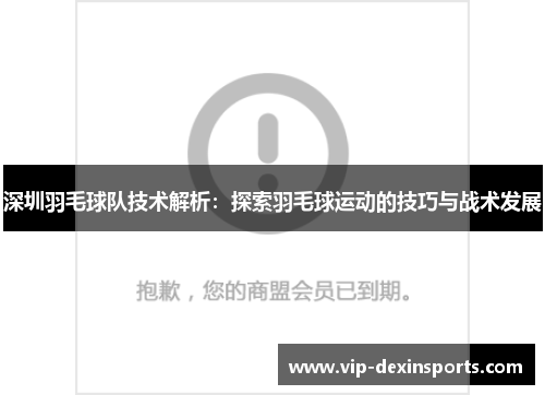 深圳羽毛球队技术解析：探索羽毛球运动的技巧与战术发展